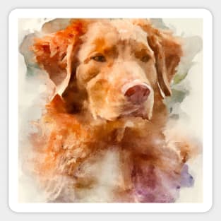 Nova Scotia Duck Tolling Retriever Watercolor - Dog Lover Gifts Sticker